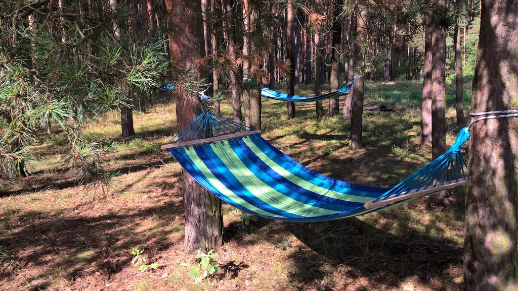 Apartament Sloneczna Radzyń エクステリア 写真