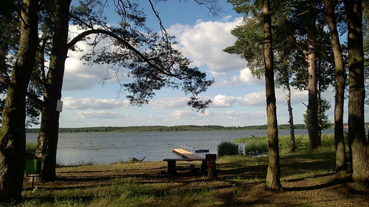 Apartament Sloneczna Radzyń エクステリア 写真